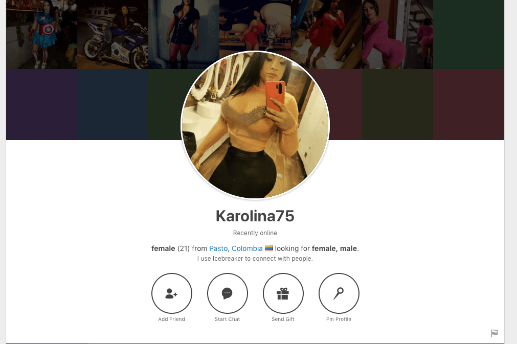 karolina fuckbook profile page