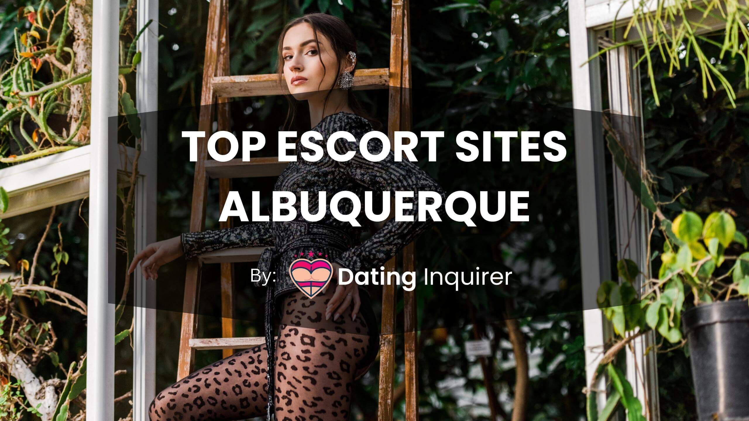 albuqueurque escort sites cover